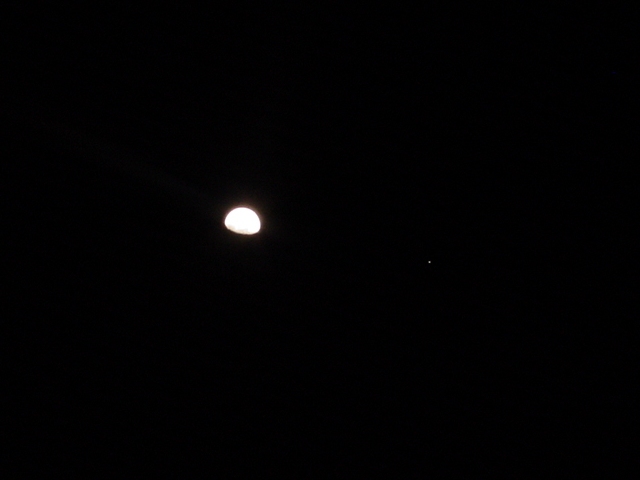 615x454 pixels (75K)